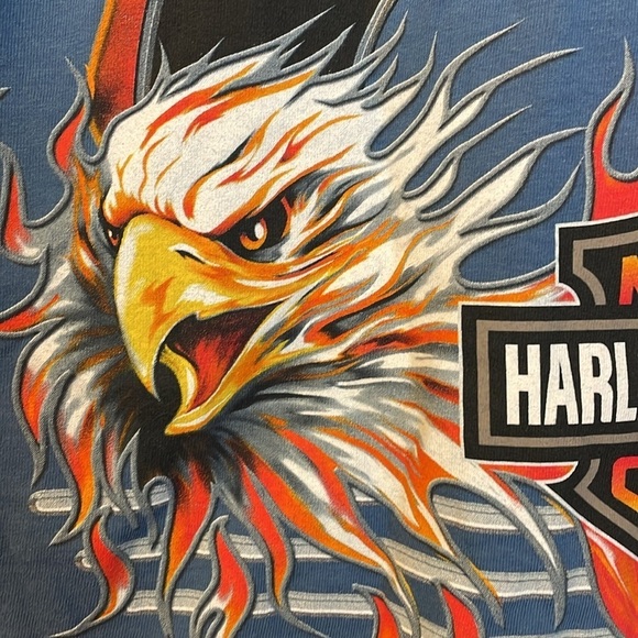 Harley Davidson Motorcycles Vintage Blue Rock Hill, SC Graphic T-shirt size M - Picture 14 of 16